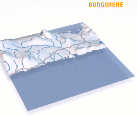 3d view of Bongomeme