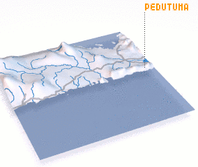 3d view of Pedutuma