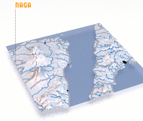 3d view of Naga