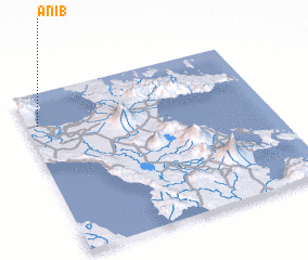 3d view of Anib