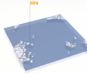 3d view of Nipa