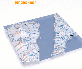 3d view of Pinanamaan