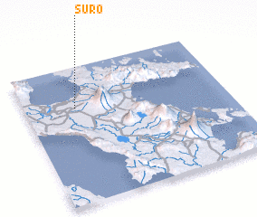 3d view of Suro