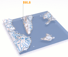 3d view of Bala