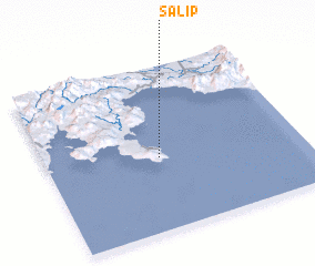 3d view of Salip