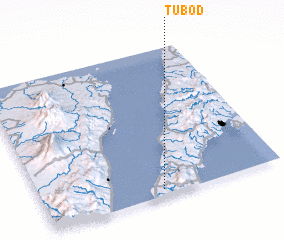 3d view of Tubod