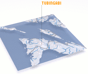 3d view of Tubingabi