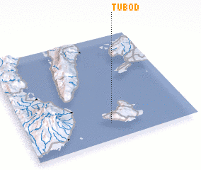 3d view of Tubod