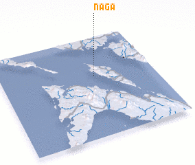 3d view of Naga