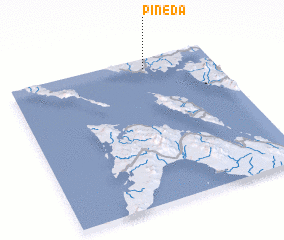 3d view of Pineda