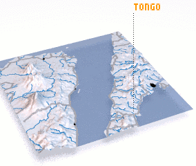 3d view of Tongo