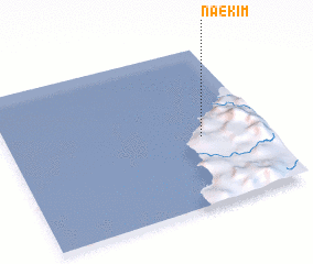 3d view of Naekim