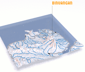 3d view of Binuangan