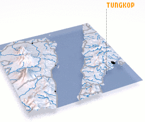 3d view of Tungkop