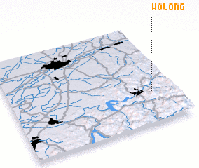 3d view of Wolong