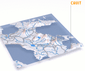 3d view of Cauit