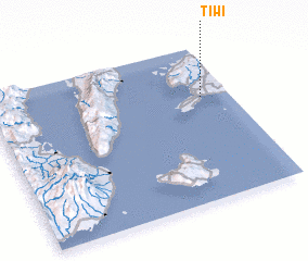 3d view of Tiwi