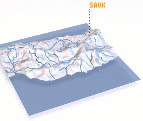 3d view of Sauk