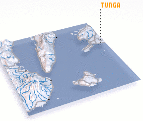 3d view of Tunga