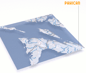 3d view of Pawican