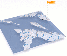 3d view of Pawic