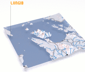 3d view of Lungib