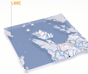 3d view of Looc