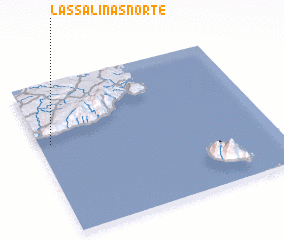 3d view of Las Salinas Norte