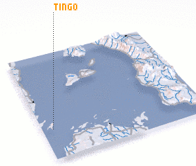 3d view of Tingo