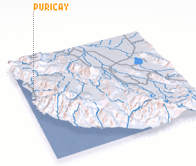 3d view of Puricay