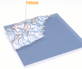 3d view of Tungoi