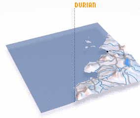 3d view of Durian