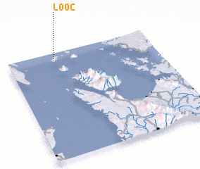 3d view of Looc