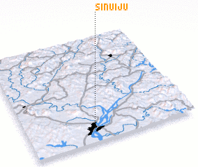 3d view of Sinŭiju