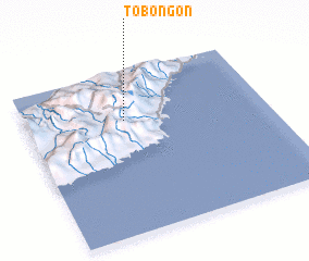3d view of Tobongon
