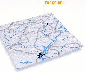 3d view of Tongsin-ni