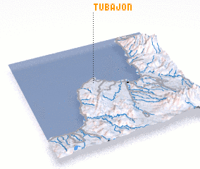 3d view of Tubajon