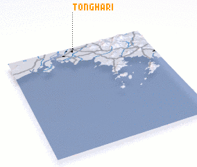 3d view of Tongha-ri