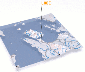 3d view of Looc