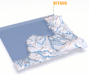 3d view of Bitaug