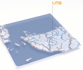 3d view of Litid