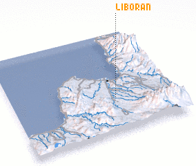 3d view of Liboran