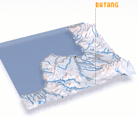 3d view of Batang