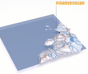 3d view of Pinamorongan