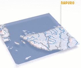 3d view of Napuro