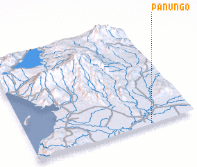 3d view of Panungo