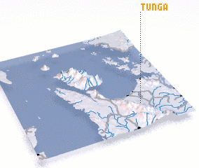 3d view of Tunga