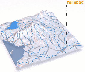 3d view of Talapas