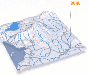 3d view of Bual