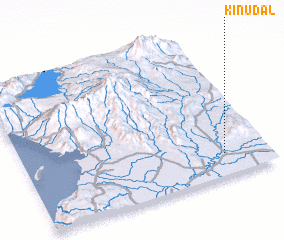 3d view of Kinudal
